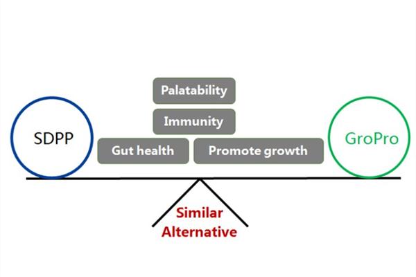 The demonstration of replacing Spray Dried Porcine Plasma (SDPP) by GroPro