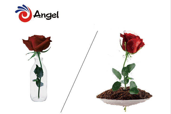 Volatile sulfur compounds - a double-edged sword in wine