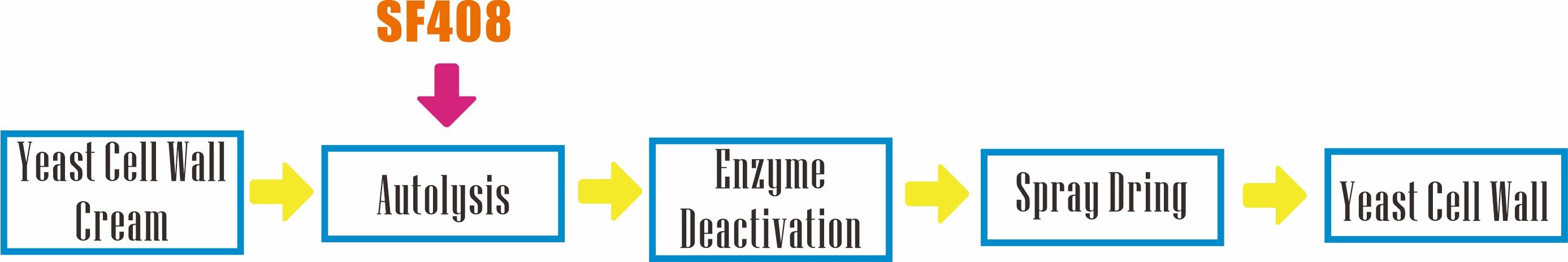 Production processing of yeast cell wall with Annzyme? SF408.jpg