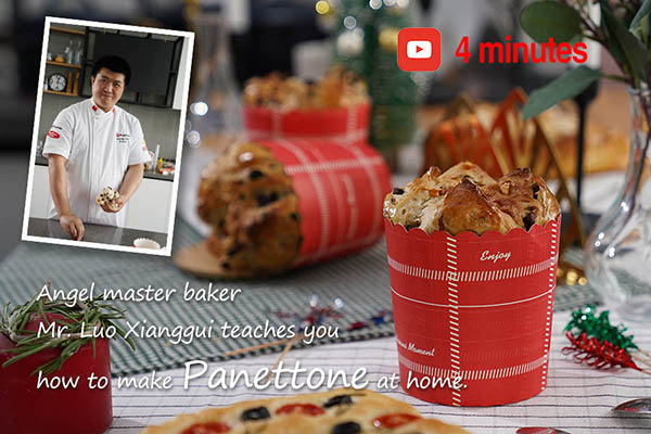 Home Baking Christmas Bread Panettone