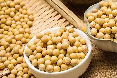 云顶集团4008(中国)官方网站