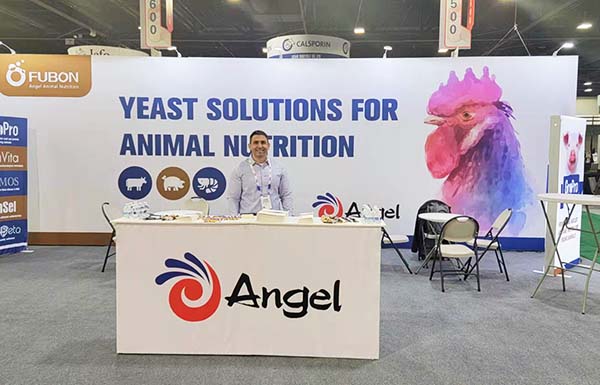 The North American Division participated in the IPPE exhibition in the United States