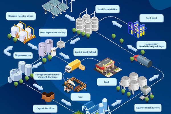 Angel Yeast Increases New Energy Procurement in Green Push to Curb Carbon Emission