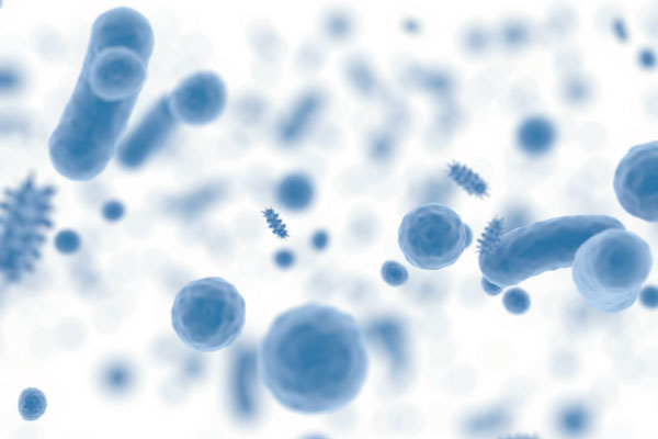 Effect of Plant Peptone on Growth and Protein Expression of Escherichia coli and Its Application 
