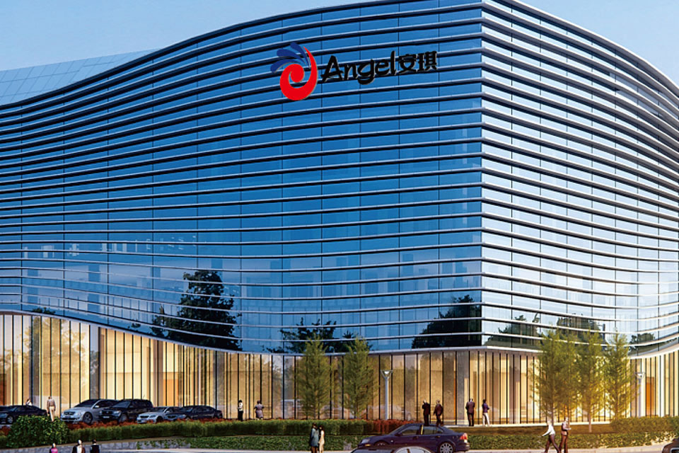 Angel brand value exceeds 19.5 billion yuan