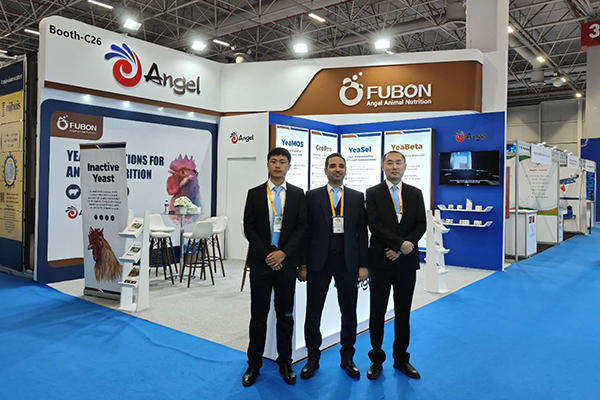 Angel's Yeast Cell Wall Solutions for Animal Nutrition Highlight at VIV Turkey 2023