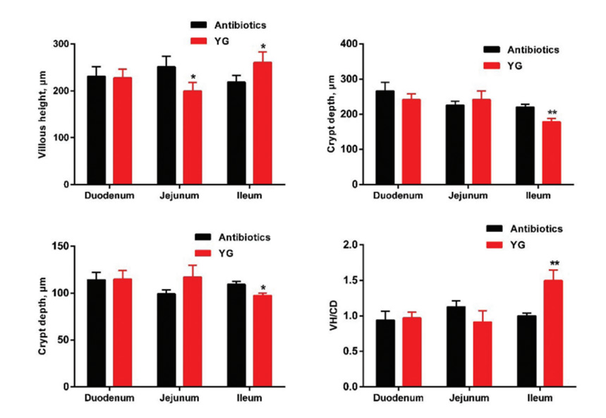 云顶集团4008(中国)官方网站