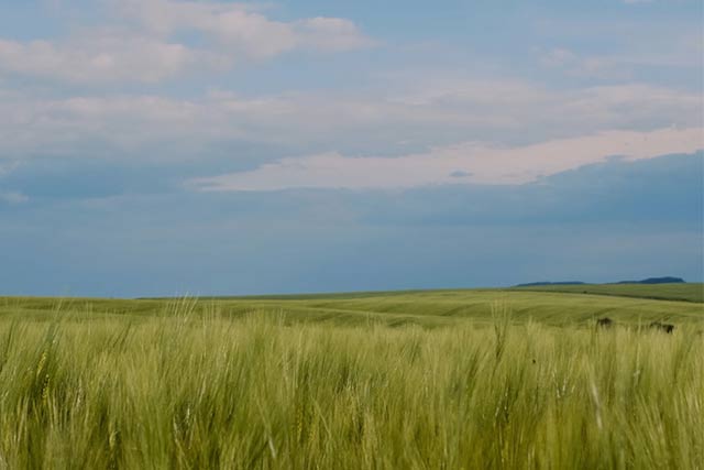 Angel Yeast's 2024 New Year's Resolutions: Advancing Development through Technological Innovation