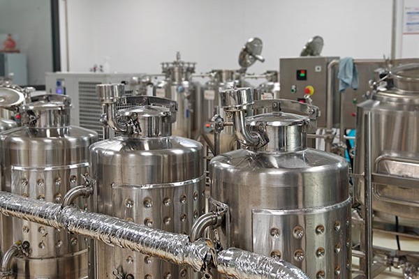 Unlocking Global Fermentation Excellence: Angel Yeast's Specialized Yeast Solutions