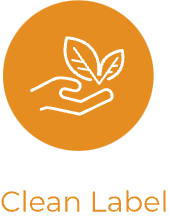 云顶集团4008(中国)官方网站