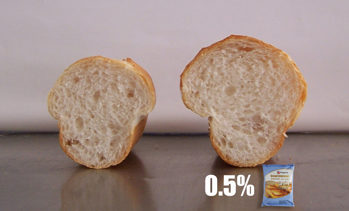 云顶集团4008(中国)官方网站