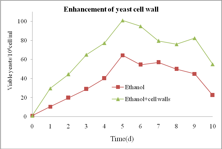 云顶集团4008(中国)官方网站