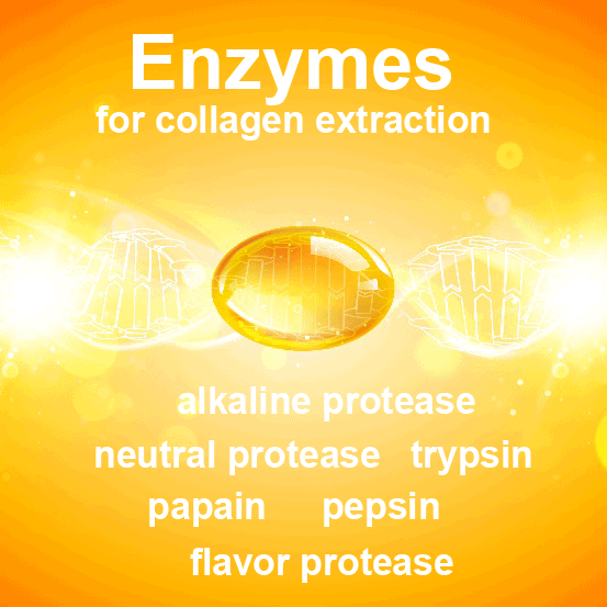 云顶集团4008(中国)官方网站