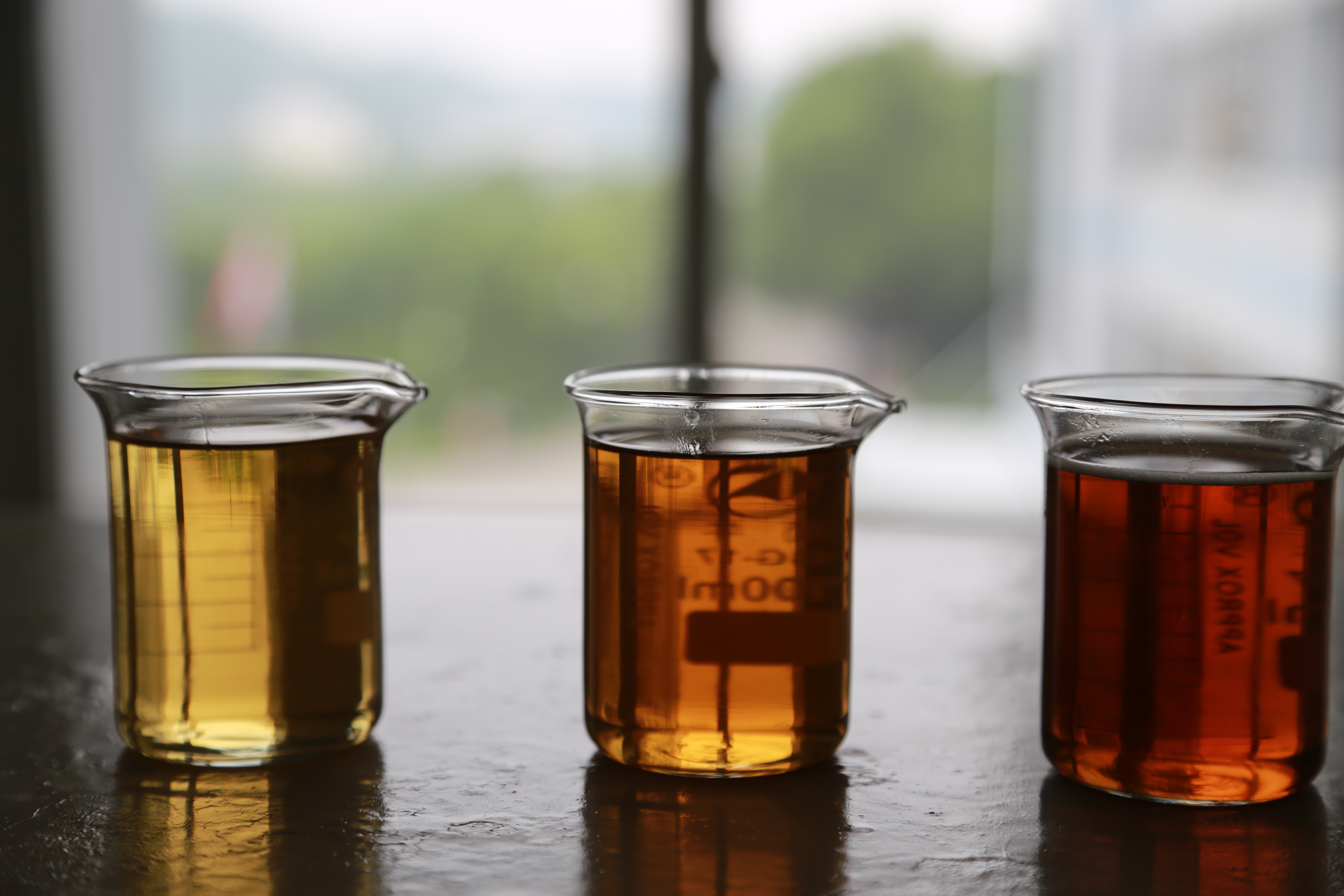 云顶集团4008(中国)官方网站