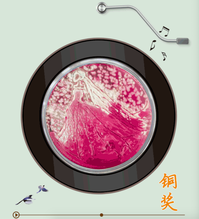 云顶集团4008(中国)官方网站