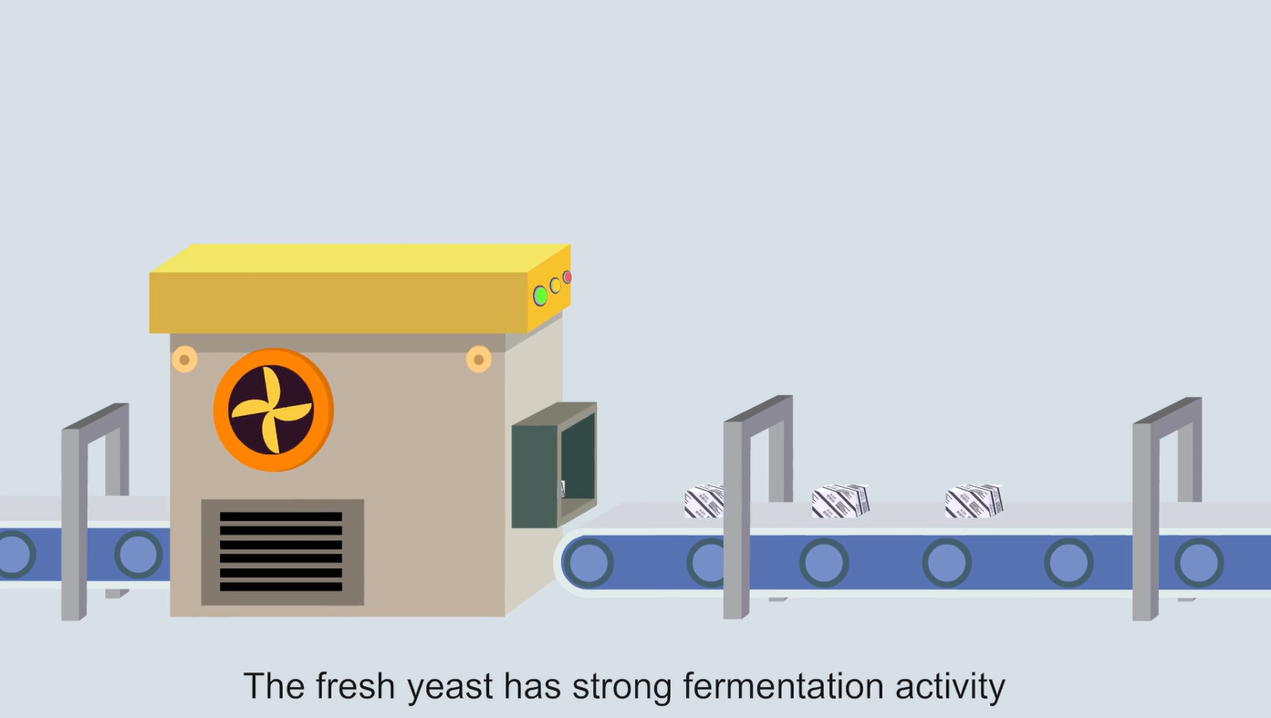 云顶集团4008(中国)官方网站