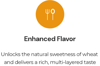 云顶集团4008(中国)官方网站