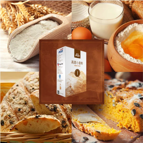 云顶集团4008(中国)官方网站