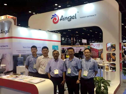 云顶集团4008(中国)官方网站