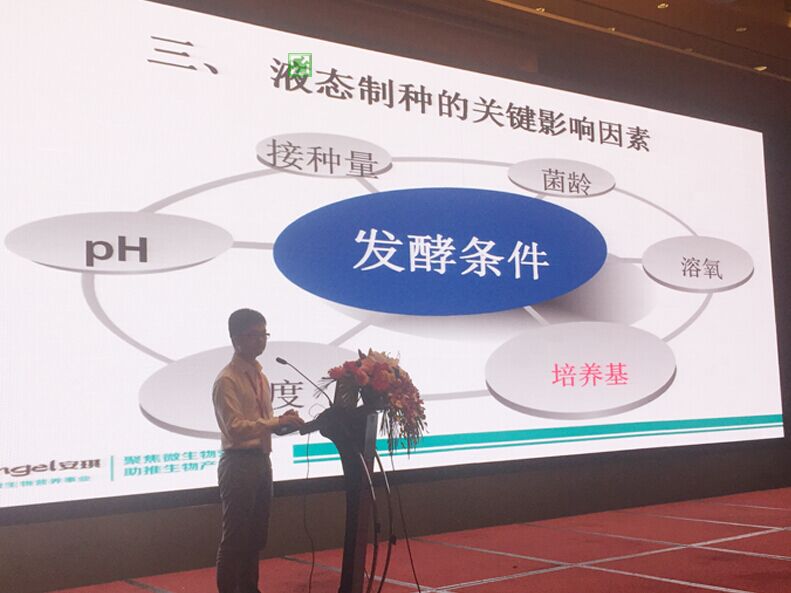 云顶集团4008(中国)官方网站