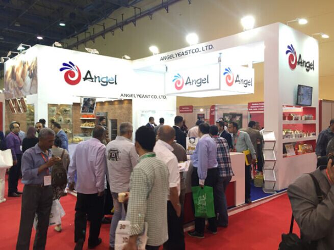 云顶集团4008(中国)官方网站