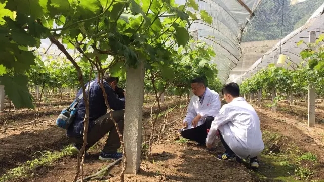 云顶集团4008(中国)官方网站