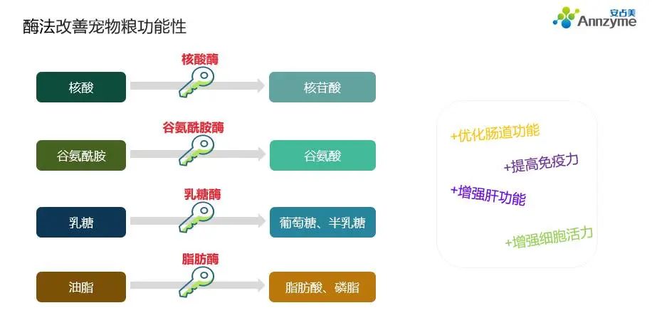 酶制剂对宠物粮功效营养性的影响