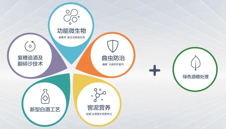 多菌种酿酒焦点微生物菌群