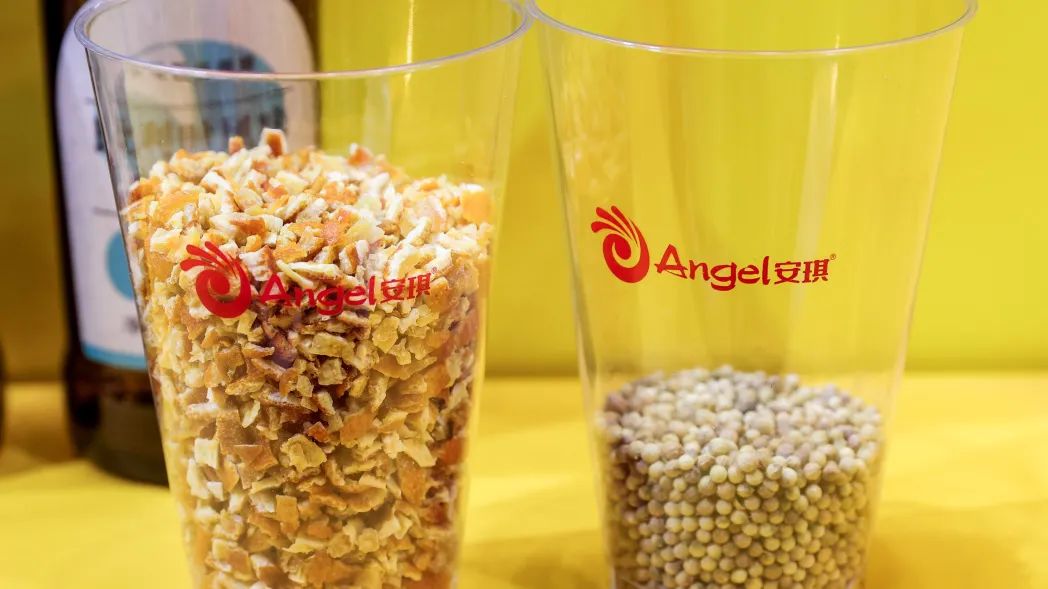 啤酒的香味来自酵母