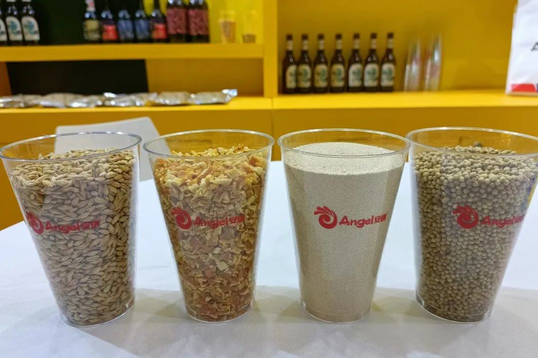 云顶集团4008精酿原辅料