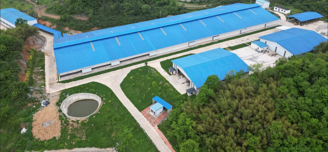 宜昌喜旺食物有限公司高山牧场