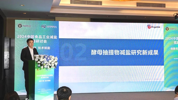 云顶集团4008股份有限公司卵白质营养与调味手艺中心李沛总司理讲话