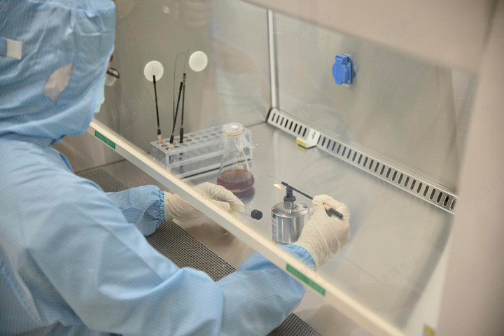 研发职员借助菌种资源开发手艺平台开展实验