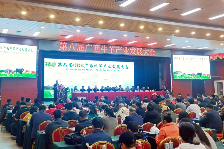 云顶集团4008加入第八届广西牛羊工业开展大会