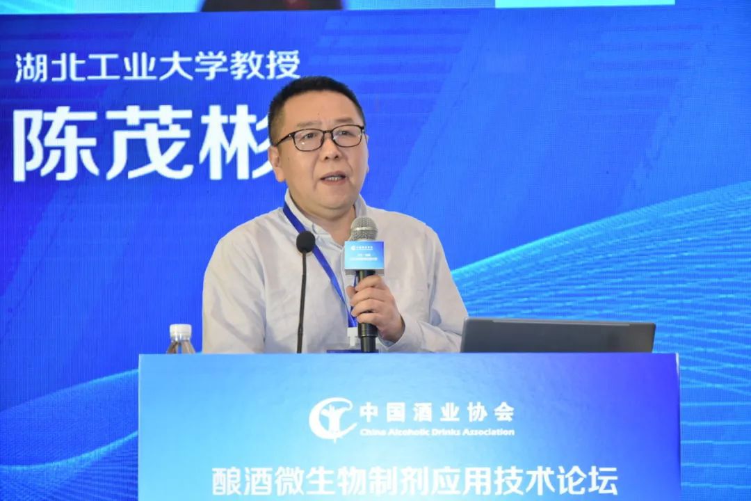 湖北工业大学生物工程与食物学院二级教授陈茂彬