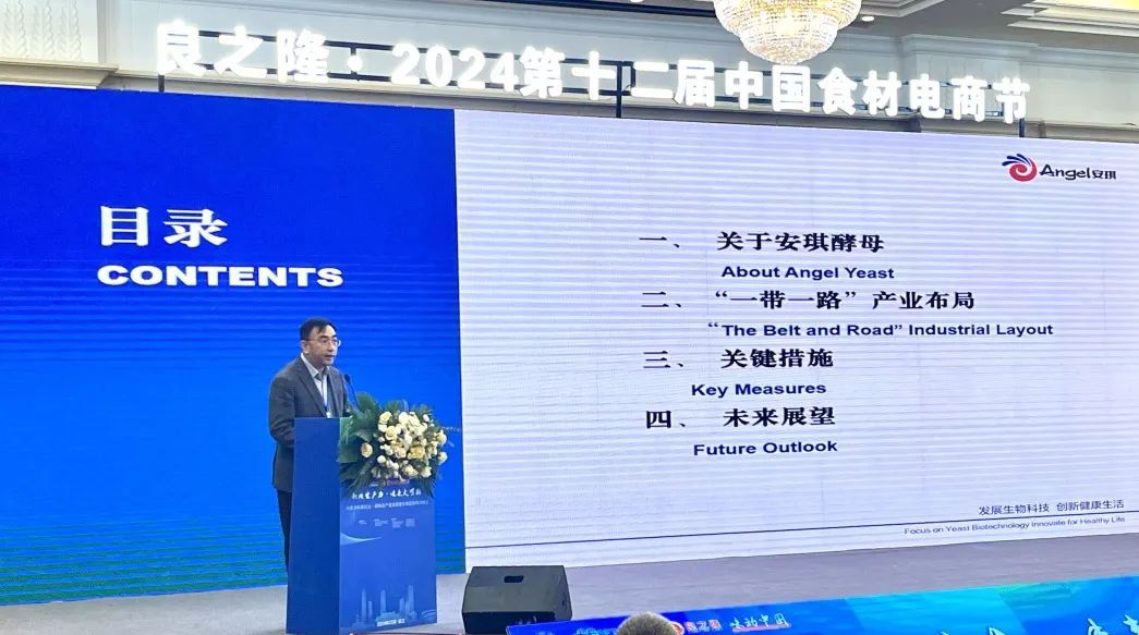 云顶集团4008YE事业部郭江勇总司理分享云顶集团4008一带一起国际工业化结构