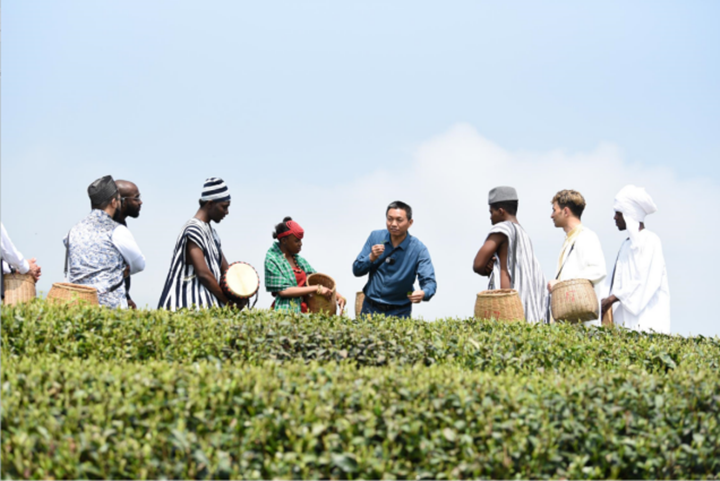 大风口茶园认真人