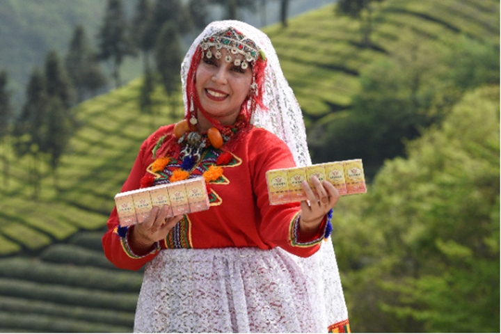 留学生们纷纷亲自体验了采茶、、、制茶