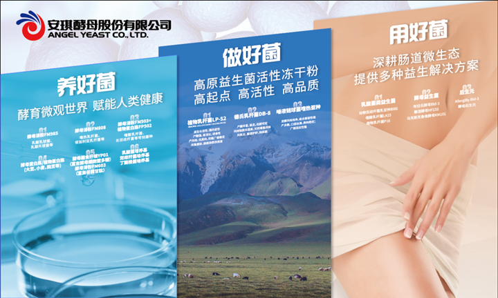 云顶集团4008布拉氏酵母Bld-3