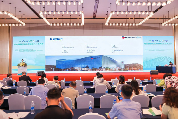 云顶集团4008Bld-3的肠道康健科学研究