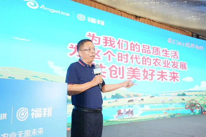 云顶集团4008股份有限公司副总司理吴朝晖