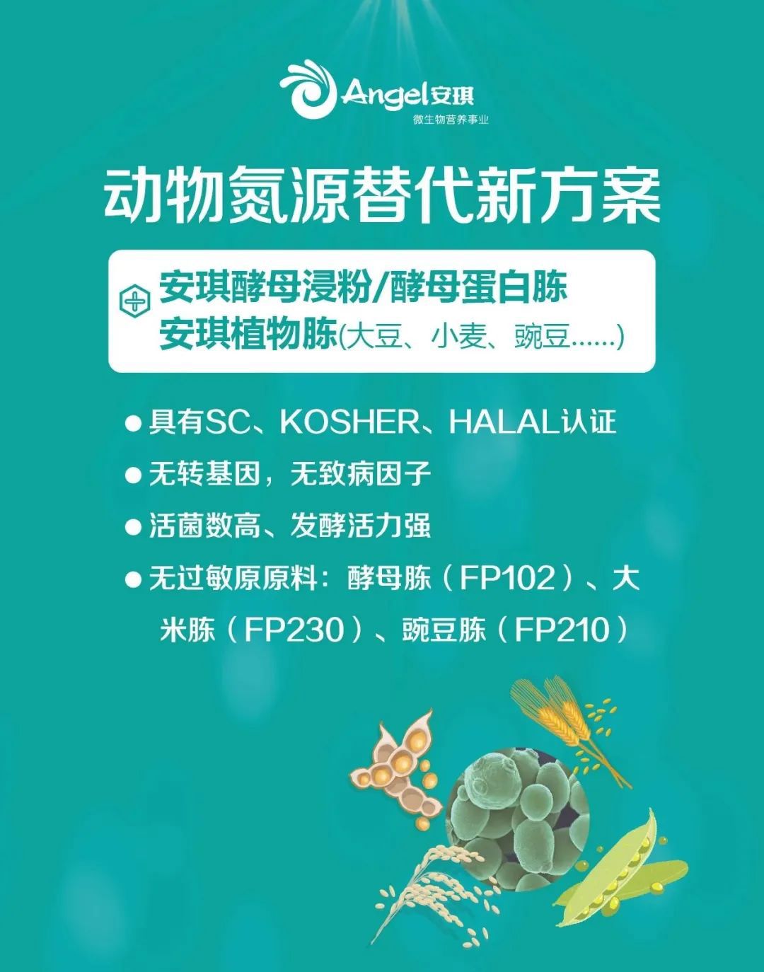 云顶集团4008动物氮源应用手艺解决方案