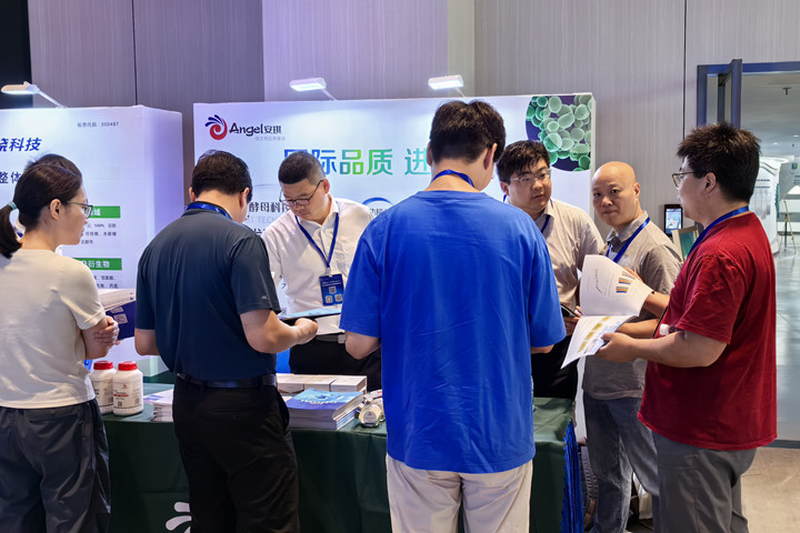 云顶集团4008股份有限公司特设展位