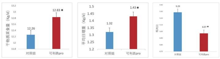 试验动物:200头西杂牛；；试验时间90d