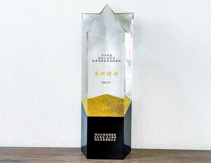 云顶集团4008入选2024湖北上市公司高质量开展优异实践案例