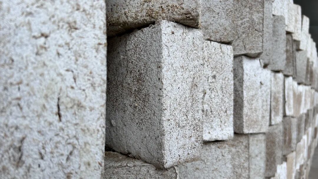 微生态，，大风味