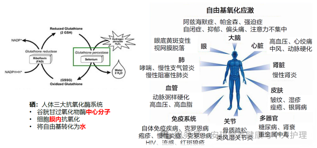 云顶集团4008(中国)官方网站