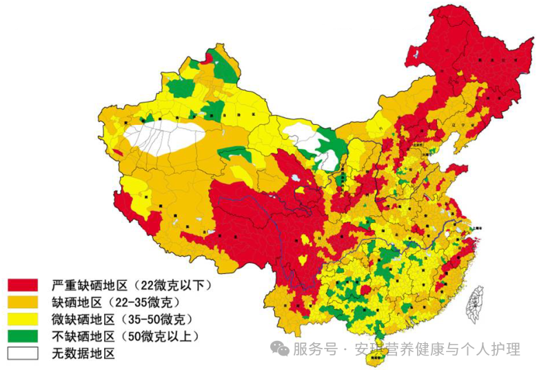 云顶集团4008(中国)官方网站