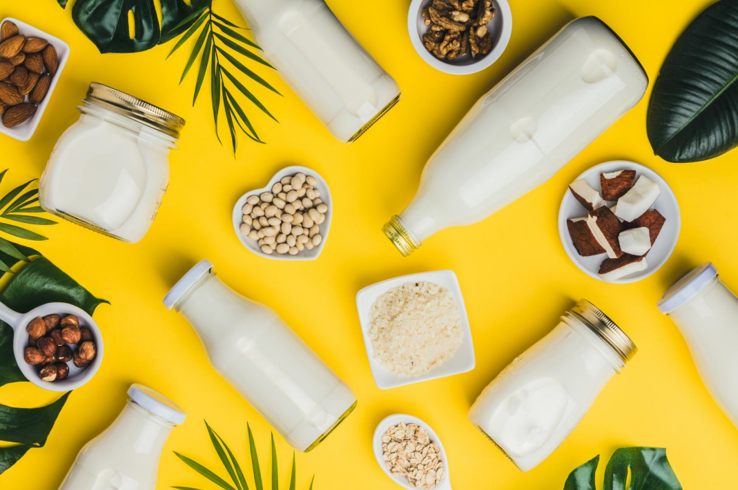 健身达人的卵白新宠