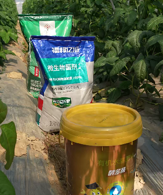 酵母科技悄然改变施肥